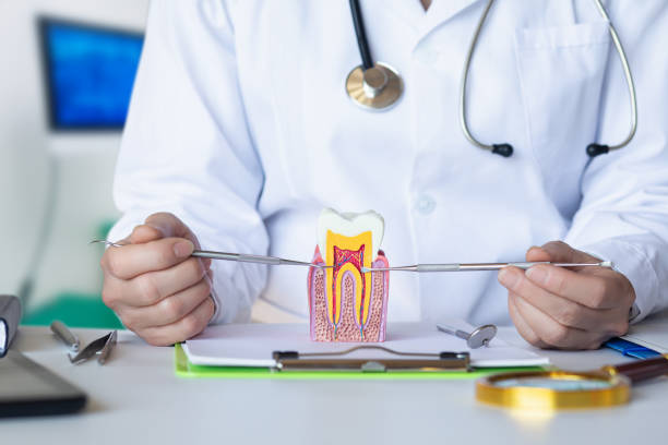 Trusted IN Emergency Dental Service Experts